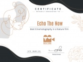 prijs voor Echo the Now